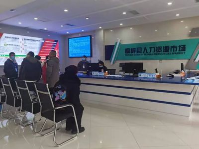 桐梓县 以专业咨询服务为引擎，筑牢“稳就业”“保就业”基石，驱动经济社会高质量发展